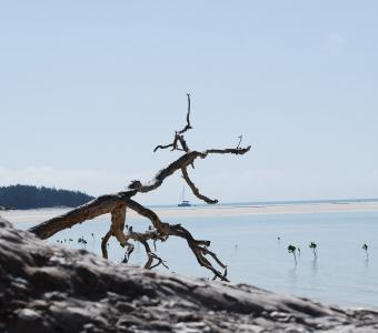 Australia beach waterfront ocean