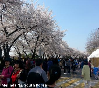 Melinda Ng, South Korea