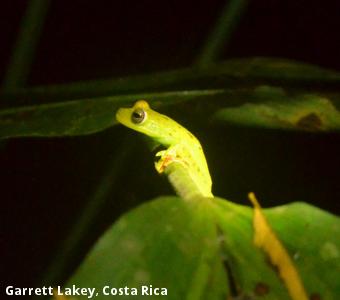 Garrett Lakey, Costa Rica