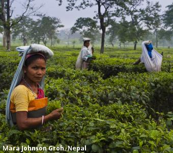 Mara Johnson Groh, Nepal